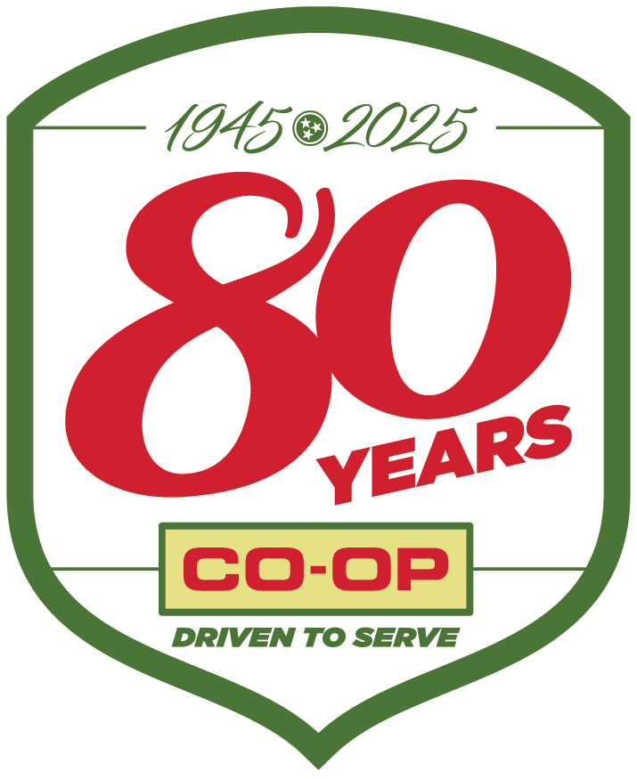 80th anniversary